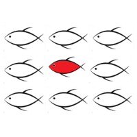 WILLIAM HOWARD ASSOCIATES LIMITED Logo