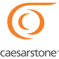 Caesarstone Technologies USA, Inc Logo