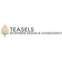 Teasels, Biodiverse Design and Consultancy Logo
