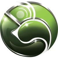 True Imagine ELV Logo