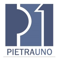 PIETRA UNO ENGENHARIA LTDA Logo