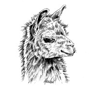 Buttermilk Falls Inn & Spa Logo