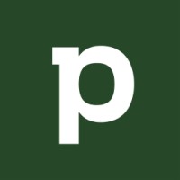 Payset Limited Logo