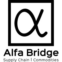 ALFA-BRIDGE LIMITED Logo