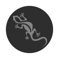GECKO CRICKET SPORTS LTD Logo