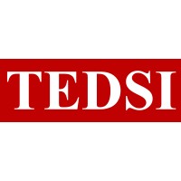 TEDSI Infrastructure Group Logo