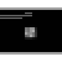 Bazinas Furs Logo