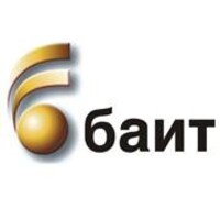 Bulgarian Association of Information Technologies /BAIT/ Logo