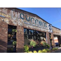 Current Fish & Oyster Logo