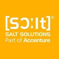 SALT Solutions GmbH Logo