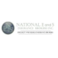 National E and S Insurance Brokers, Inc. Logo