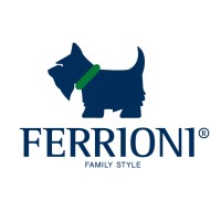 Ferrioni S.A. de C.V. Logo