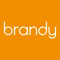 BRANDY the branding company Logo