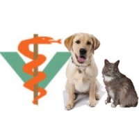 Indian Head Animal Hospital Logo