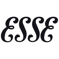 ESSE ENGINEERING LIMITED Logo