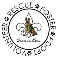 SAUVER DES CHIENS INC Logo