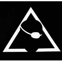 Top Level MMA Training Center Logo