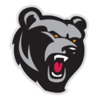 Norths Basketball Logo