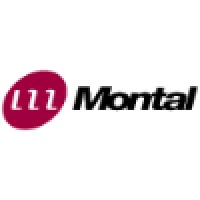 Montal Computer Services Ltd (now part of Castleton Technology Plc) Logo