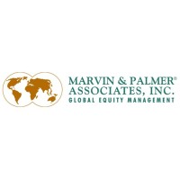 Marvin & Palmer Associates, Inc Logo