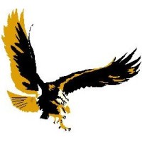 Phoenix Search Logo