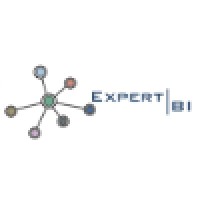 Expert Business Intelligence ltd Logo