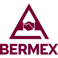 Bermex Logo