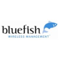 Bluefish Wireless Logo
