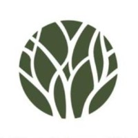 Betulla Cosméticos Logo