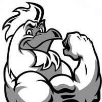The Roost CrossFit Logo