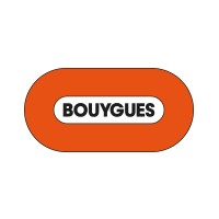 Bouygues Group Logo