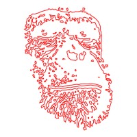 APE Architecture & Design Ltd. Logo