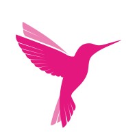 Online Birds Logo