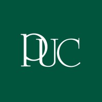 Paul Usoro & Co Logo