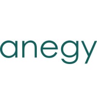 Anegy Digital Consulting Logo