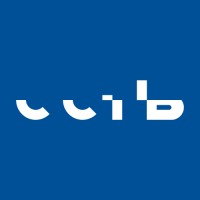 CCIB Logo