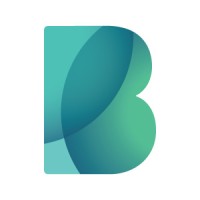 Bigbank Logo