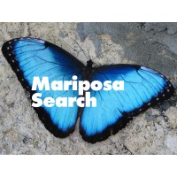 Mariposa Search Logo