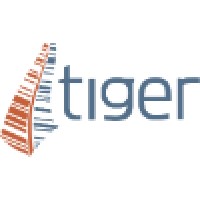Tiger Energy Services Logo