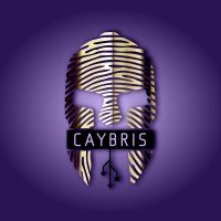 Caybris Consulting Logo