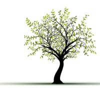 Concordia Financial Group, Inc Logo