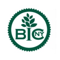 BUSINESS INITIATIVE CORPORATION OF NEW YORK Logo