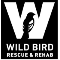 Wild BIRD Rescue and Rehab Logo