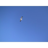 ANDRS droombaancoaching Logo