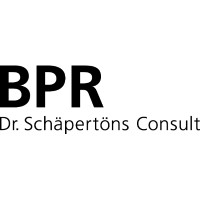 BPR Dr. Schäpertöns Consult GmbH & Co. KG Logo