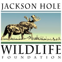 JACKSON HOLE WILDLIFE FOUNDATION Logo