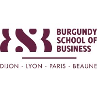 MECIC-PARIS BSB Logo