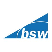 bsw TestSystems & Consulting Logo