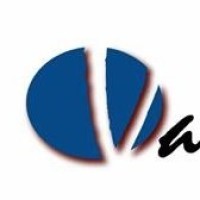 Vanete Solutions LLC Logo