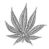 Hash Marihuana & Hemp Museum Logo